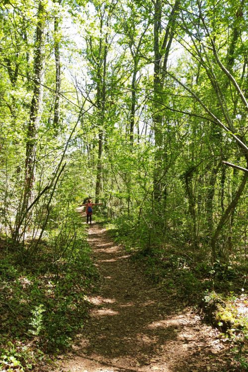 Bany Bosc Garrotxa