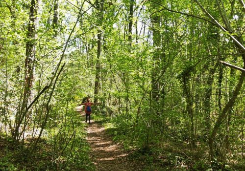 Bany Bosc Garrotxa